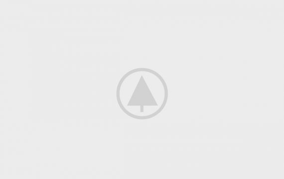 wood-gallery-placeholder-5 wood-gallery-placeholder-5